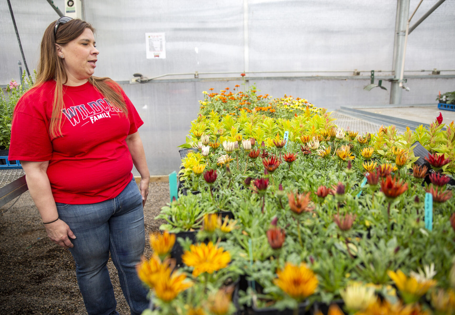 Filer FFA plant sales
